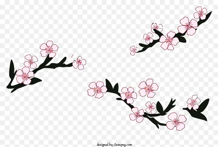 Bunga Sakura，Gambar PNG