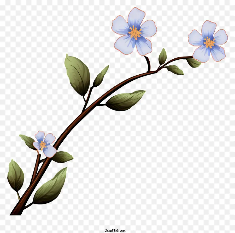 Bunga Putih Kecil，Kelopak Biru PNG