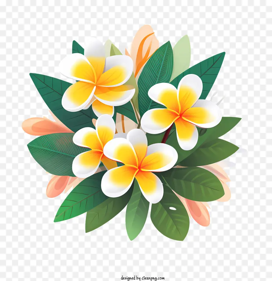 Bunga Kamboja，Karangan Bunga PNG