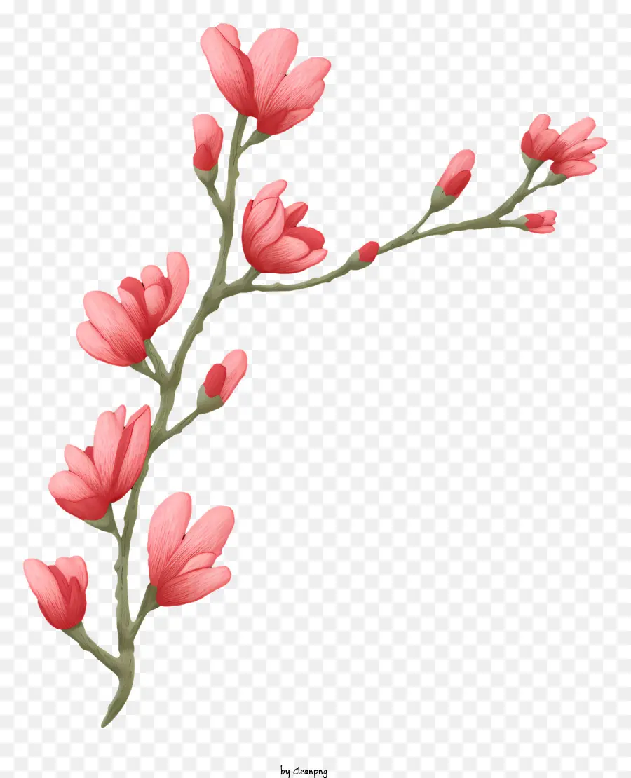 Bunga Kecil，Bunga Merah Muda PNG