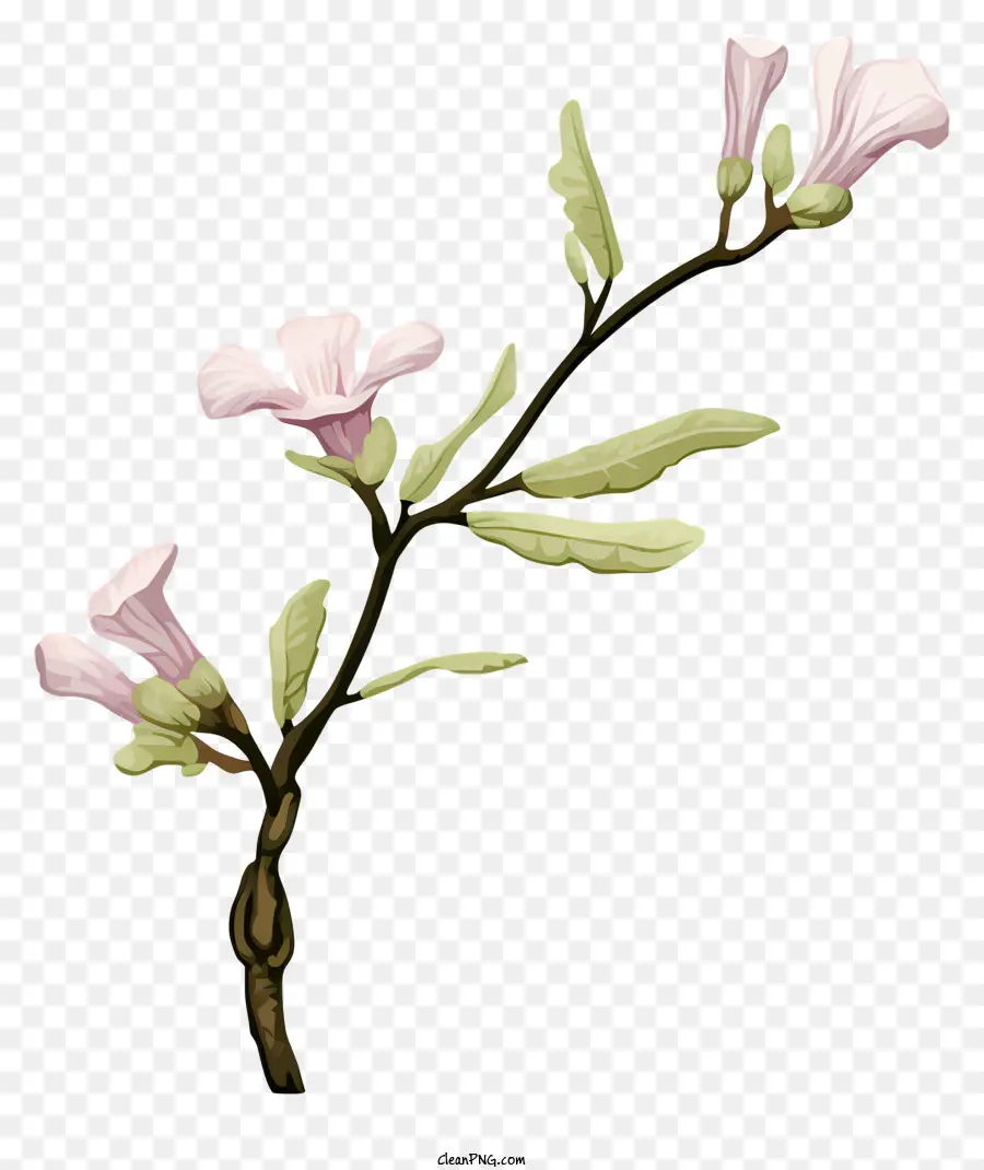 Bunga Merah Muda，Batang Dengan Bunga PNG