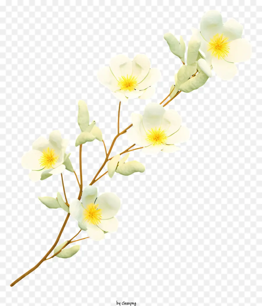 Bunga Putih，Pusat Kuning PNG