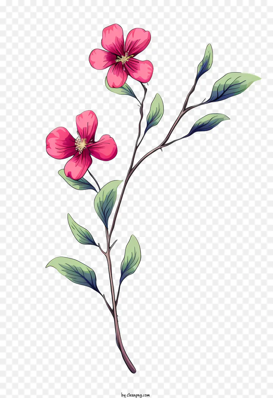 Bunga Merah Muda，Latar Belakang Hitam PNG