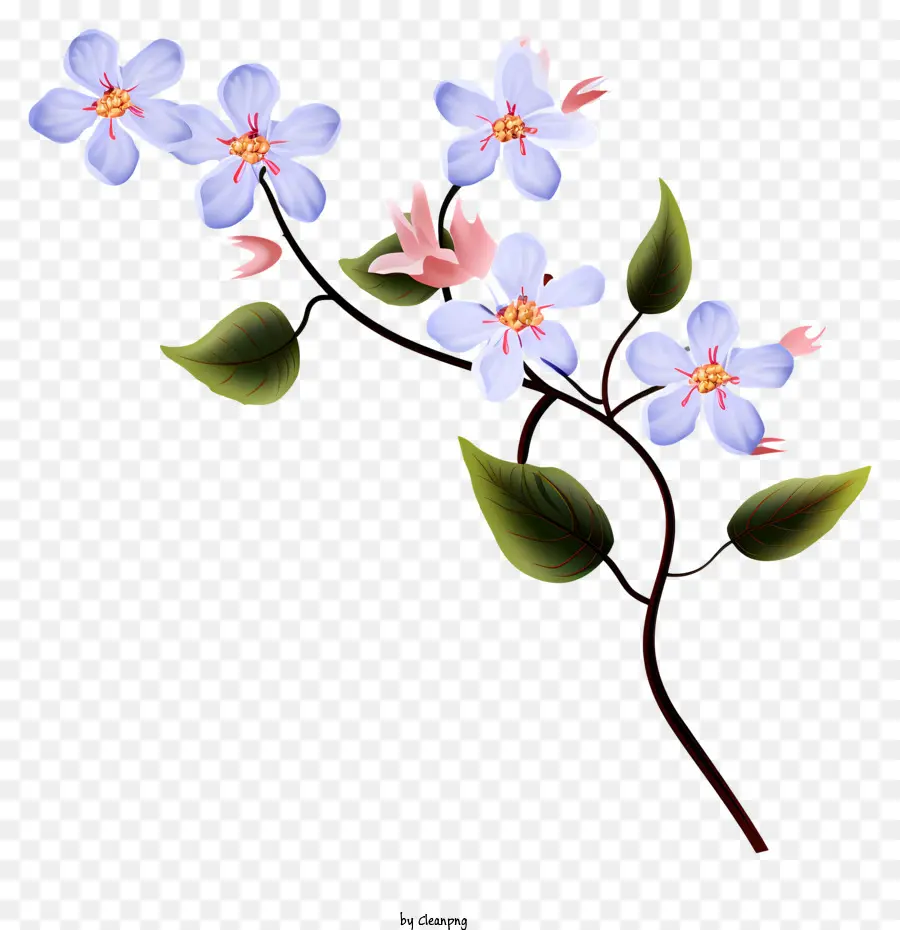 Bunga Bunga Biru，Karangan PNG