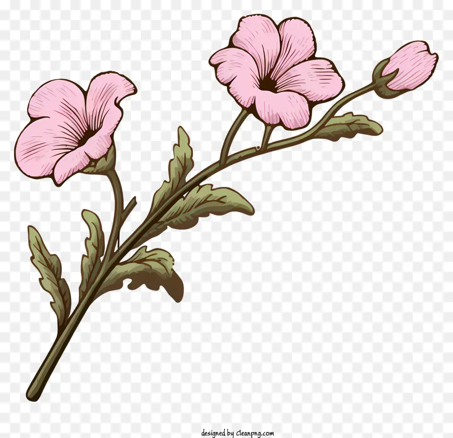 Bunga Merah Muda，Bunga Kecil PNG