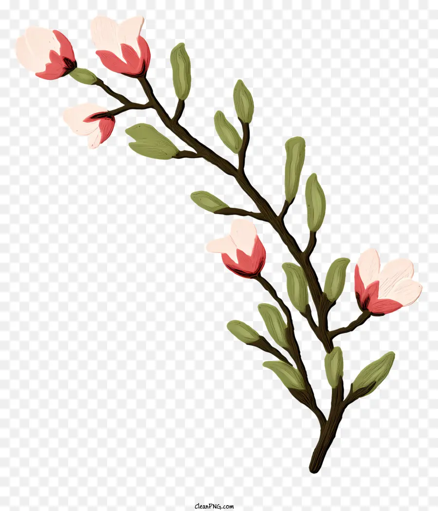 Cabang，Bunga Merah Muda PNG