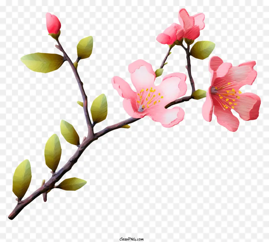 Sakura，Bunga PNG