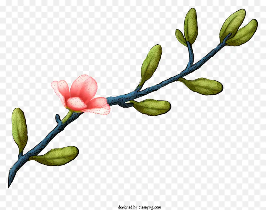Bunga Merah Muda，Bunga Di Cabang PNG