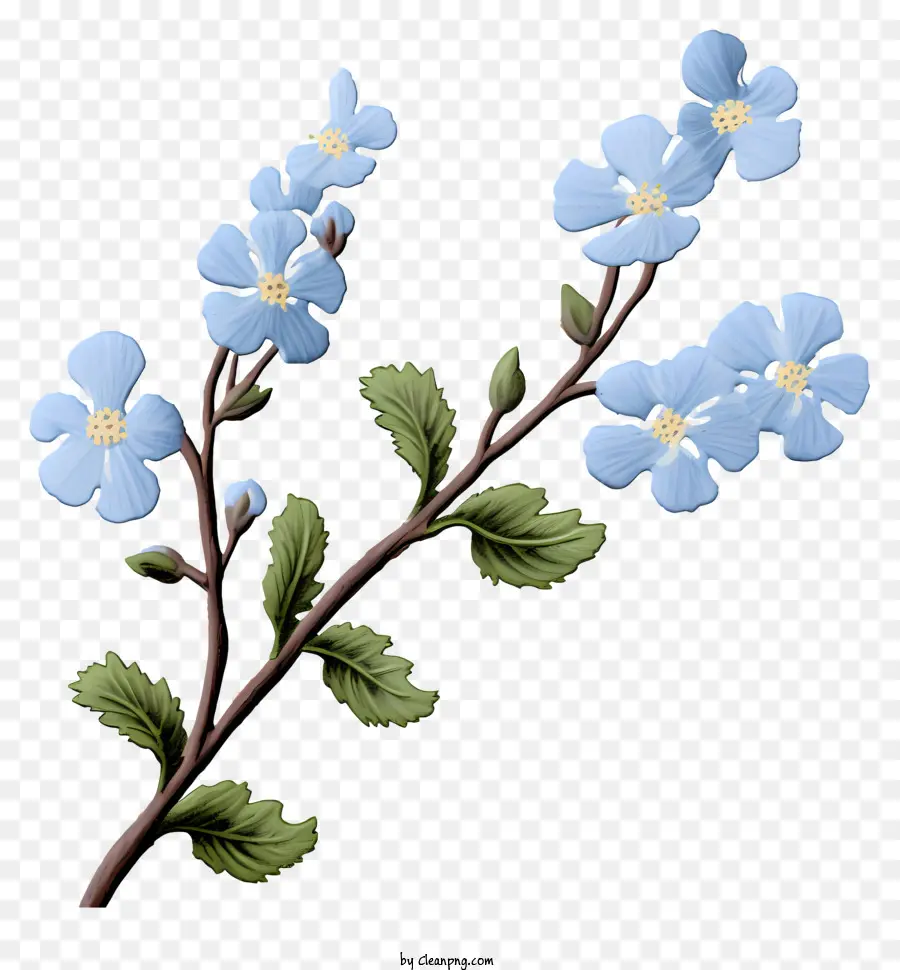 Cabang Kecil，Bunga Bunga Biru PNG