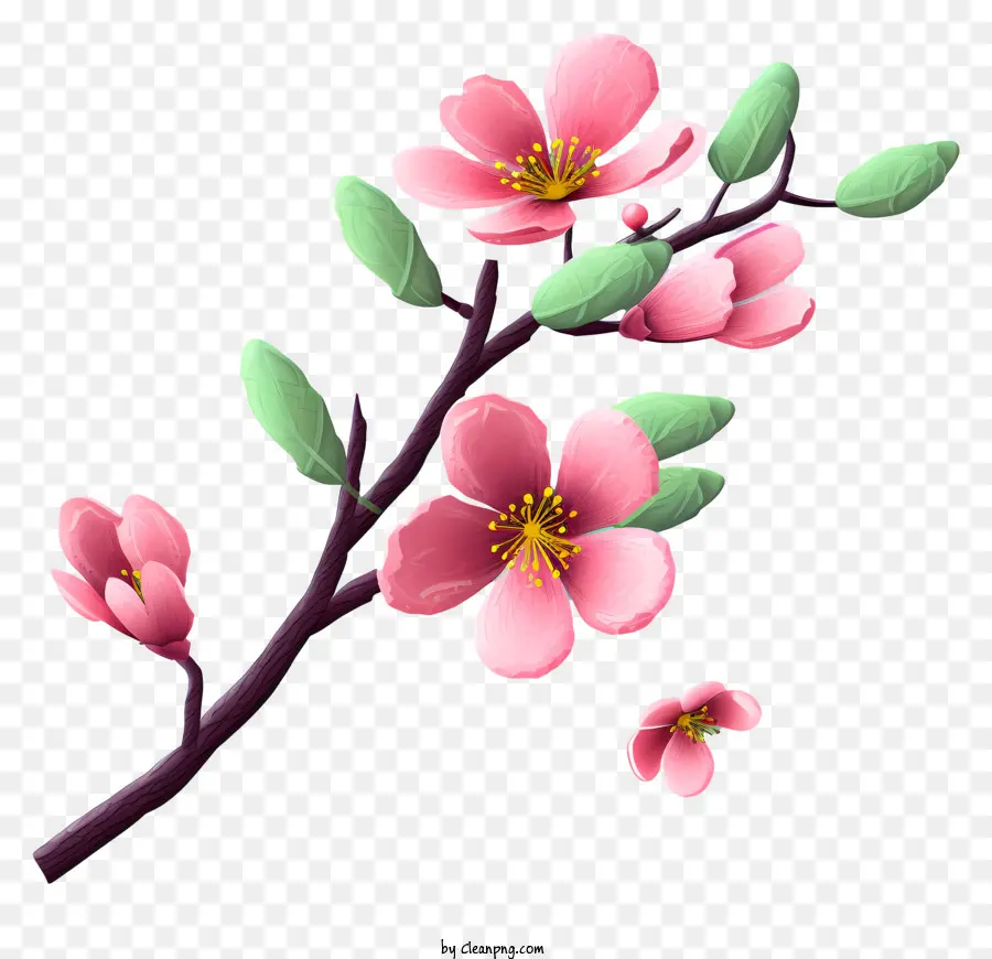 Cabang Pohon Berbunga，Bunga Merah Muda PNG