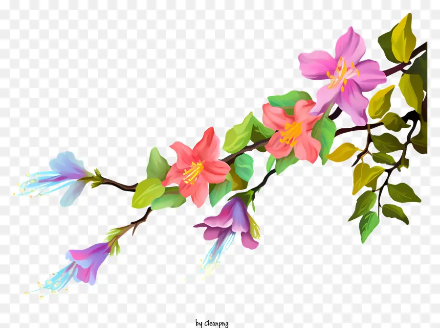 Cabang Bunga，Bunga Berwarna Warni PNG