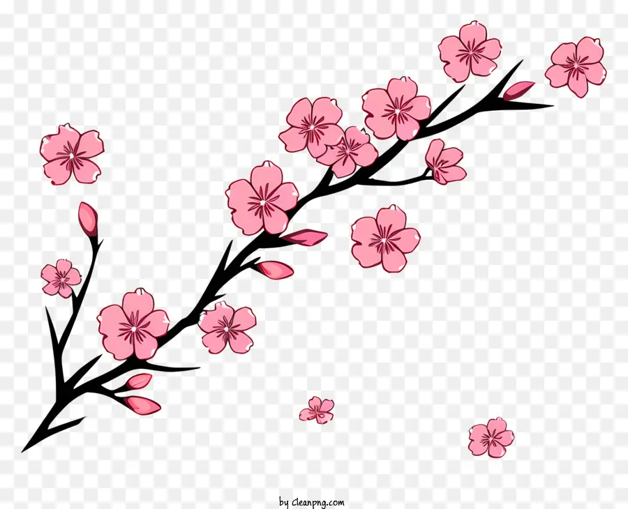 Bunga Sakura，Mekar Pohon Ceri PNG
