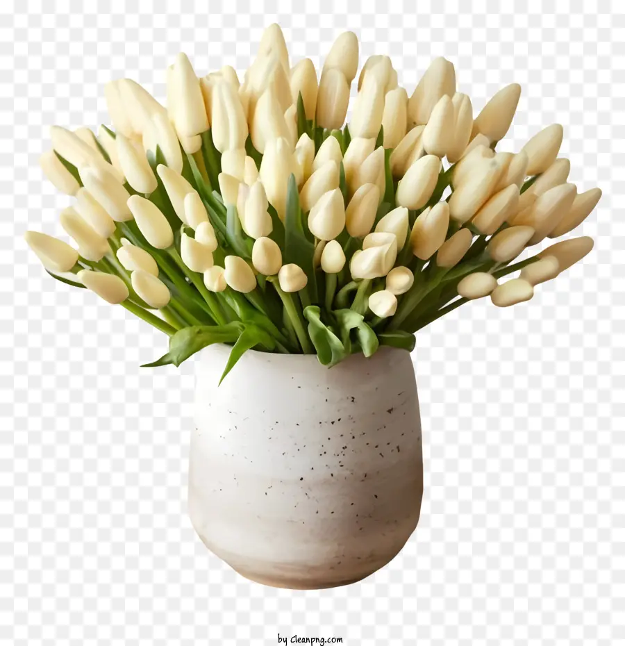 Tulip Putih，Pengaturan Vas PNG