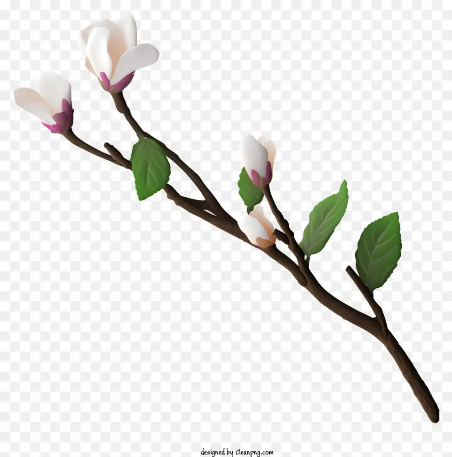 Cabang Pohon，Bunga Putih PNG