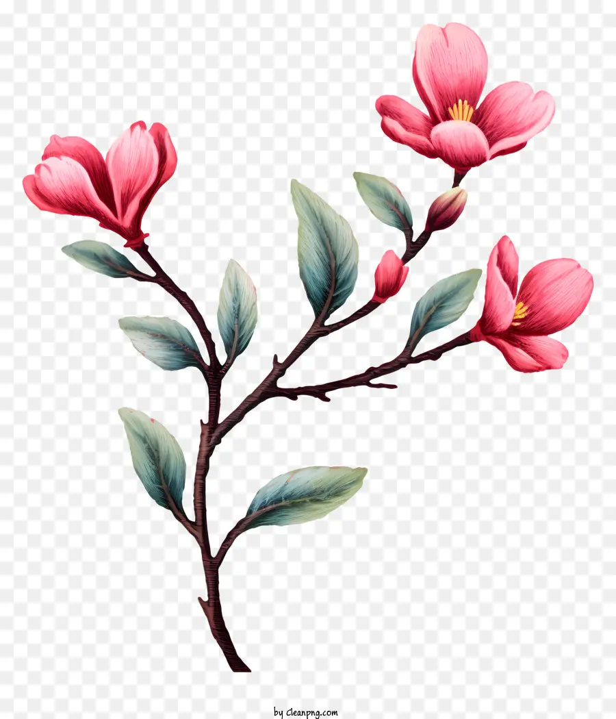 Bunga Merah Muda，Hijau Daun PNG