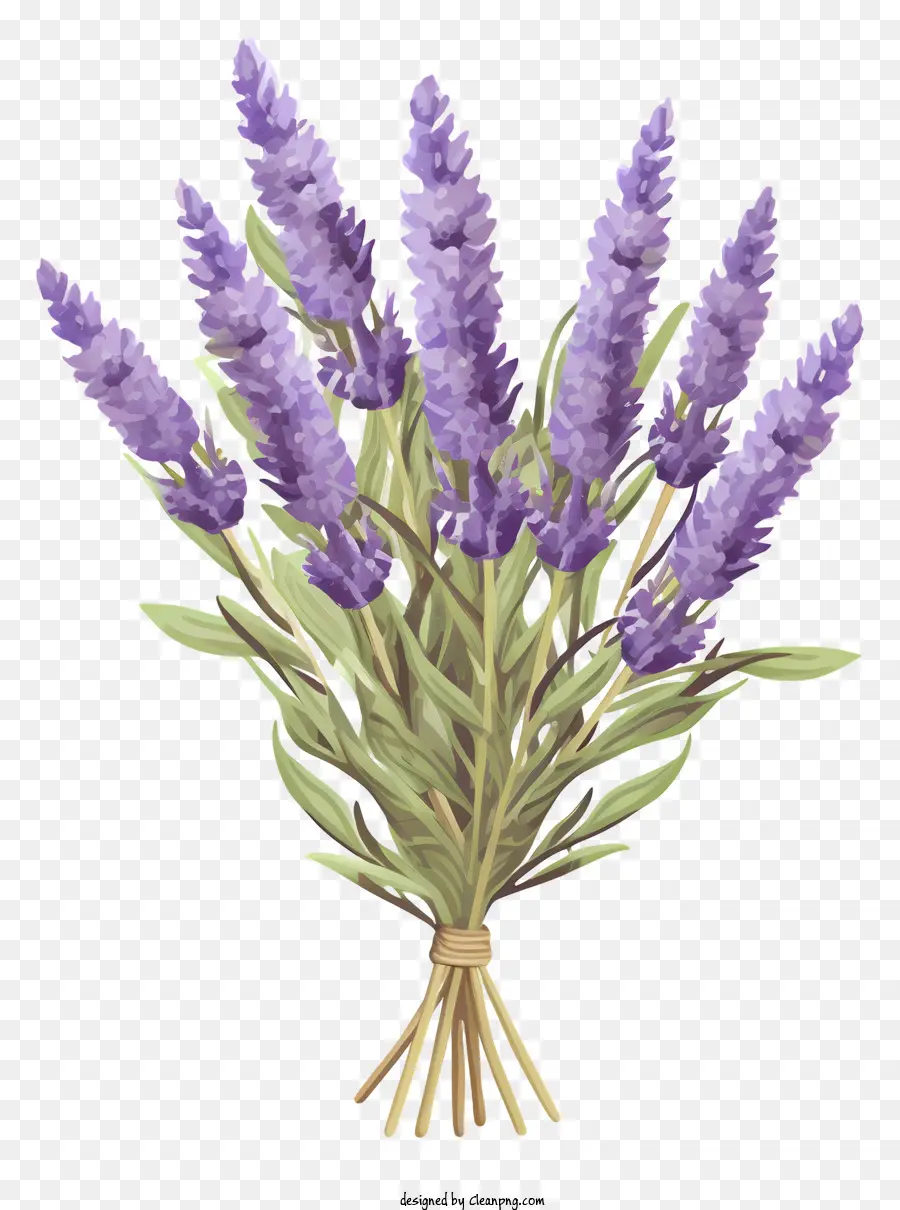 Lavender Buket，Bunga Ungu Pucat PNG