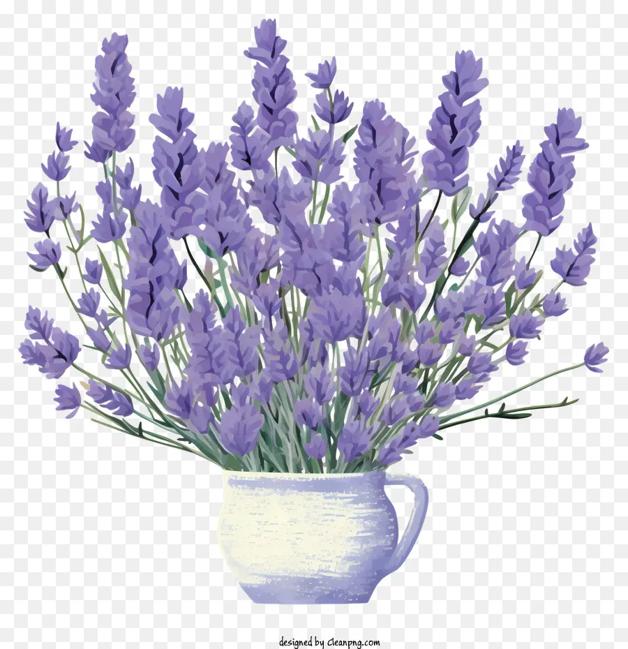 Lavender Buket，Lavender Vas PNG