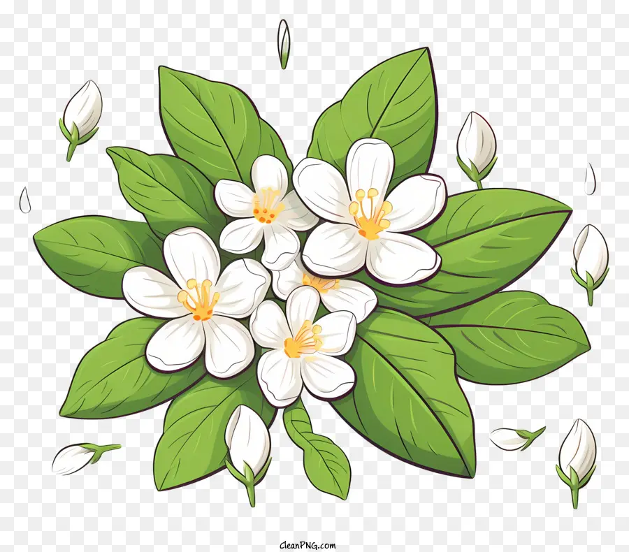 Hijau Daun，Bunga Putih PNG