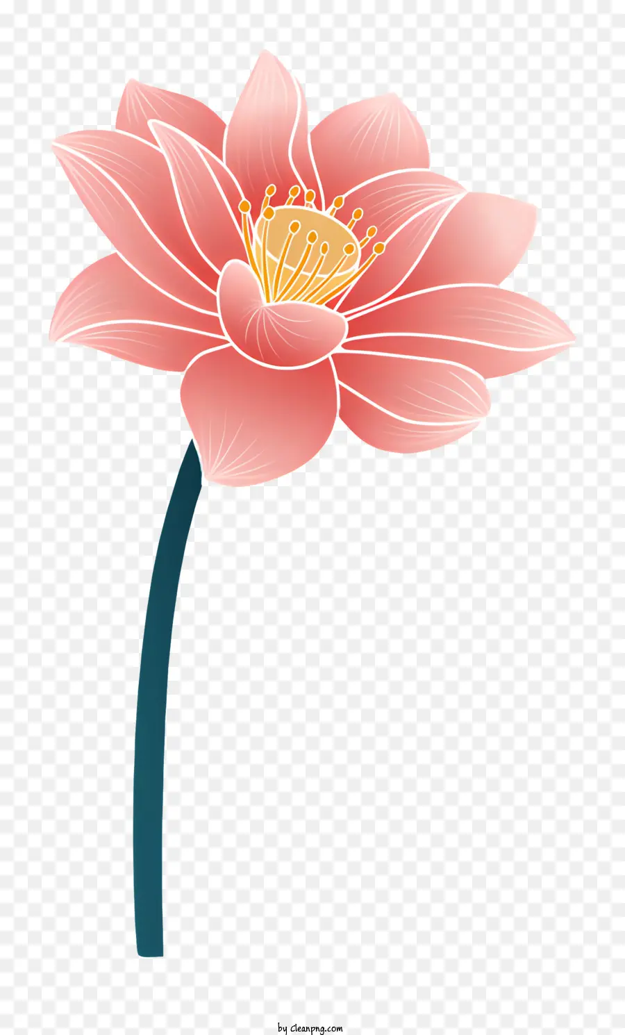 Bunga Teratai Merah Muda，Yellow Center Lotus PNG