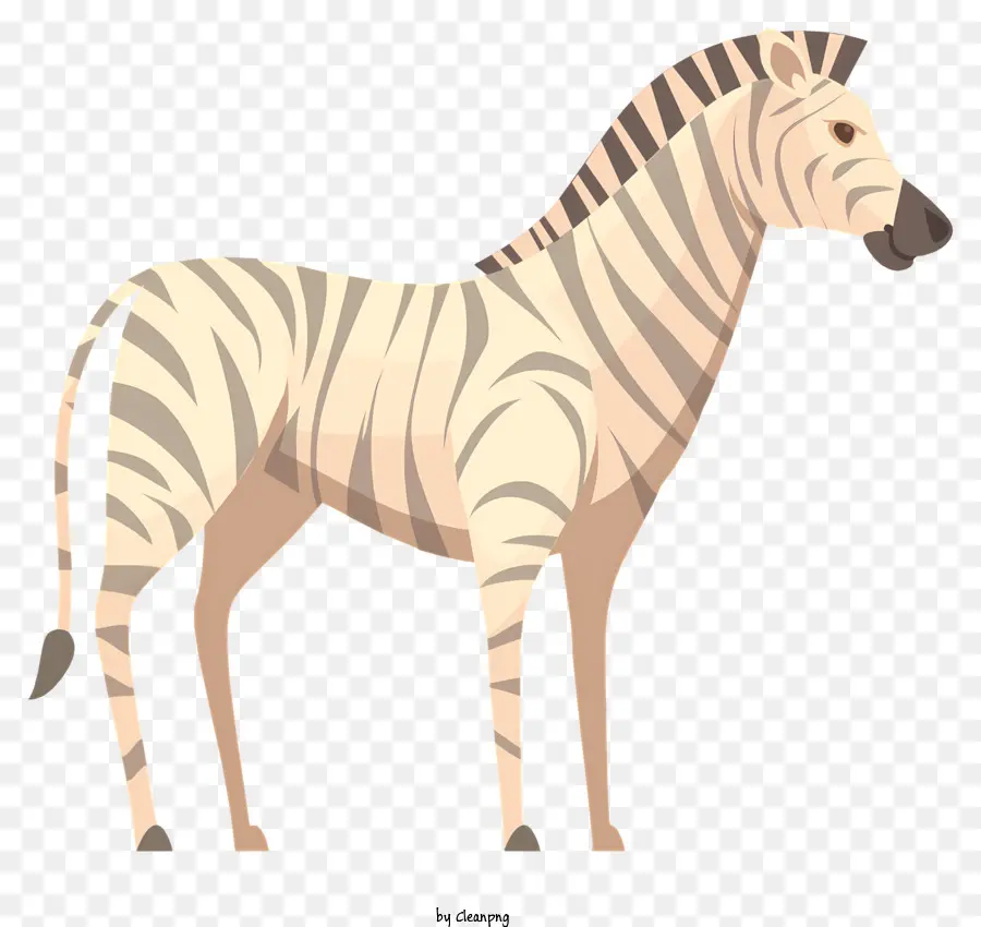 Zebra，Garis Garis PNG