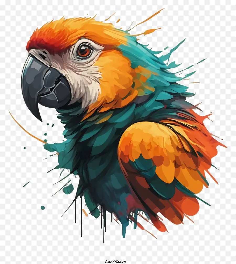 Burung Beo，Lukisan PNG