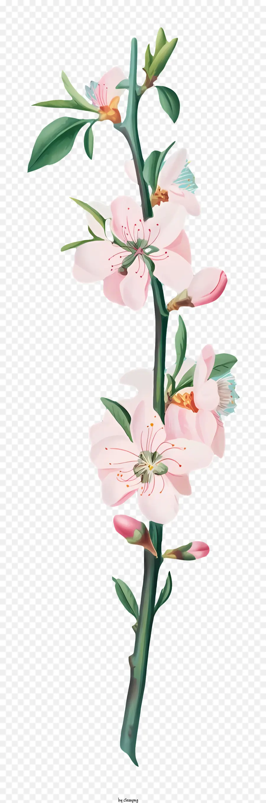 Pohon Berbunga，Bunga Merah Muda PNG