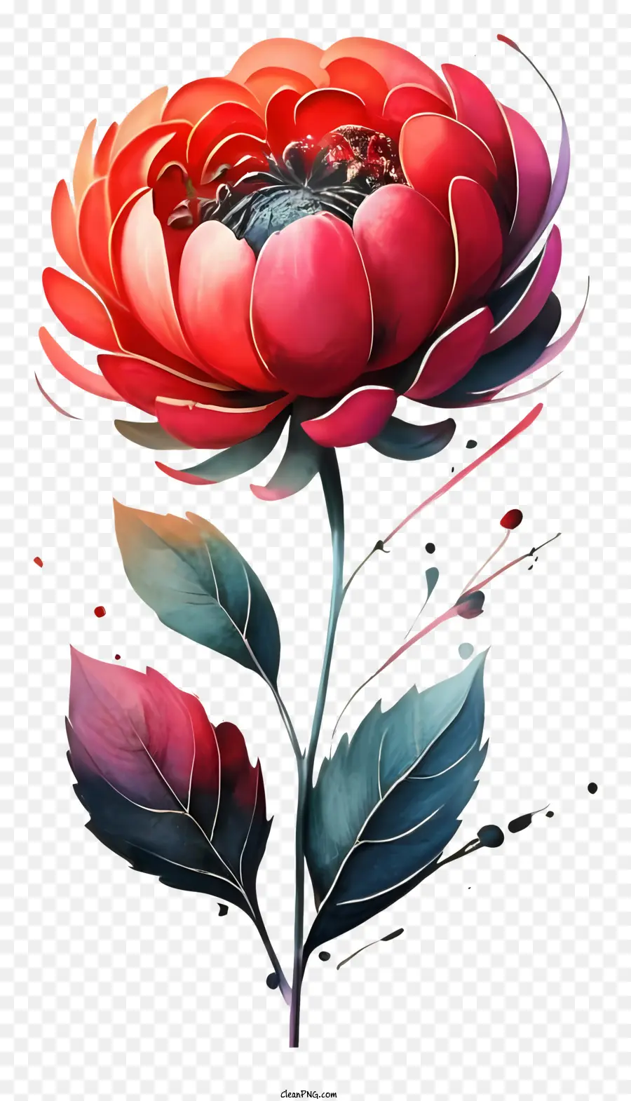 Bunga Merah，Panjang Daun PNG