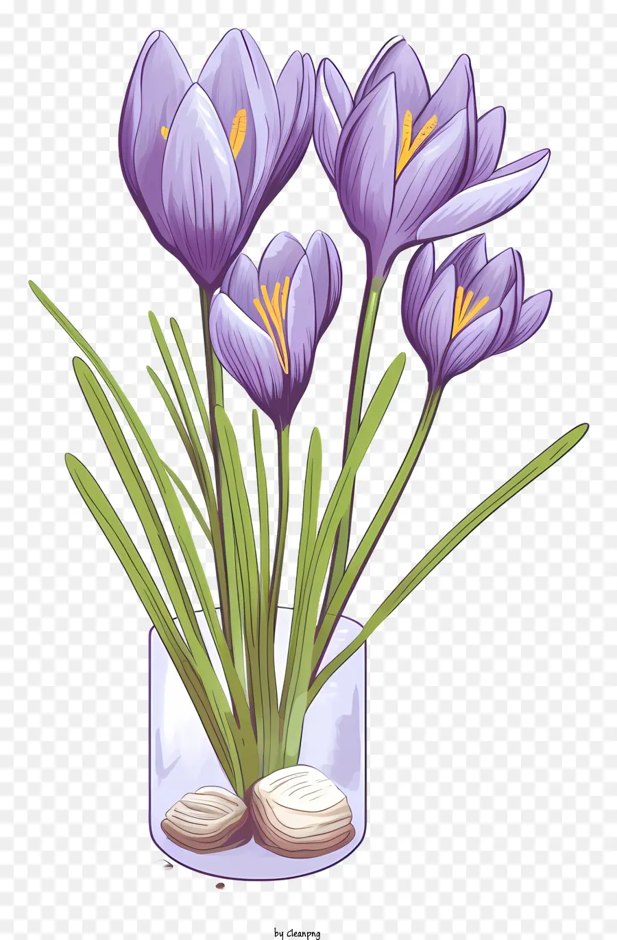 Vas，Crocus Ungu PNG