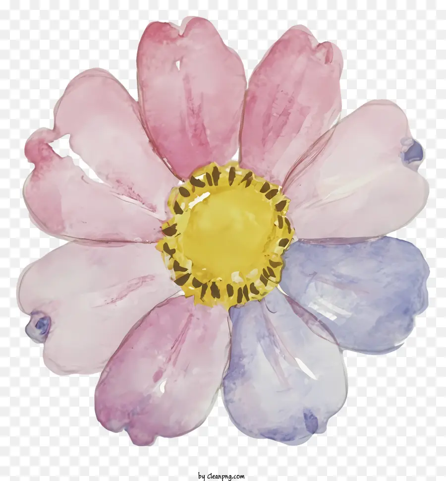 Lukisan Bunga，Kelopak Merah Muda Dan Biru PNG