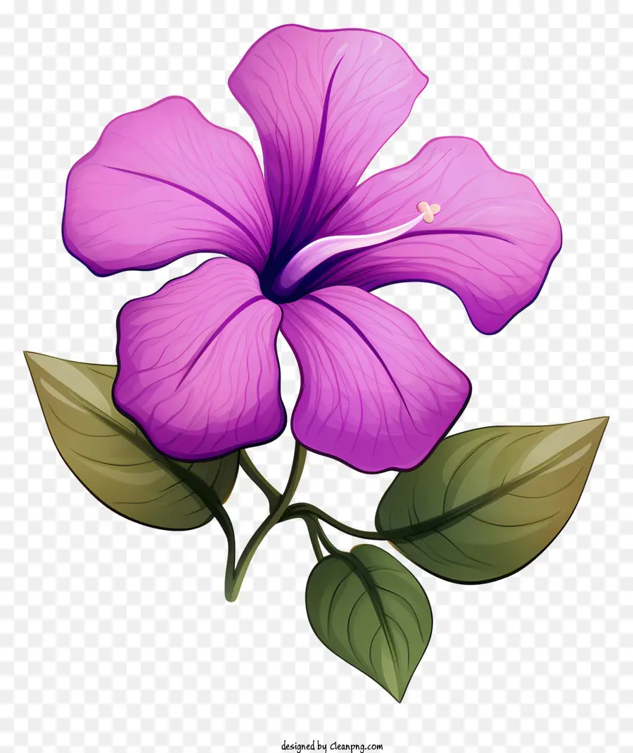 Bunga Ungu，Hijau Daun PNG