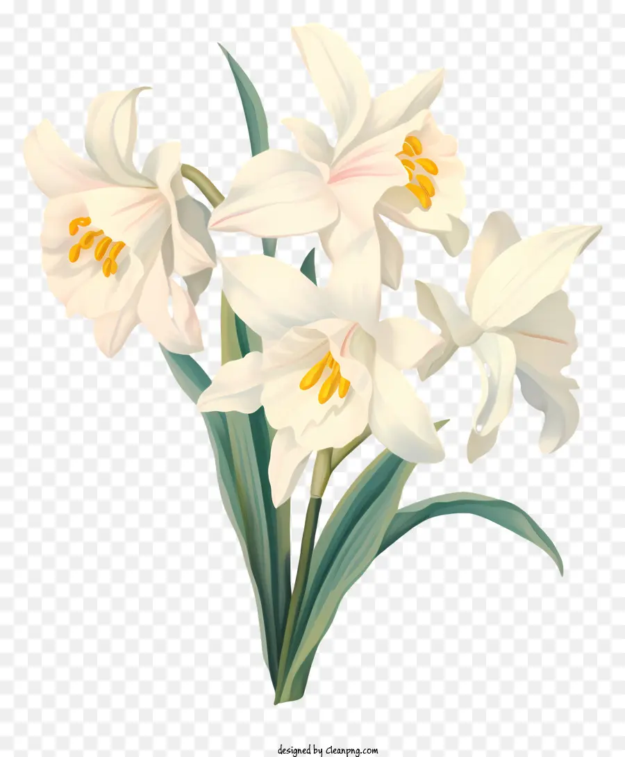Bunga Putih，Karangan PNG