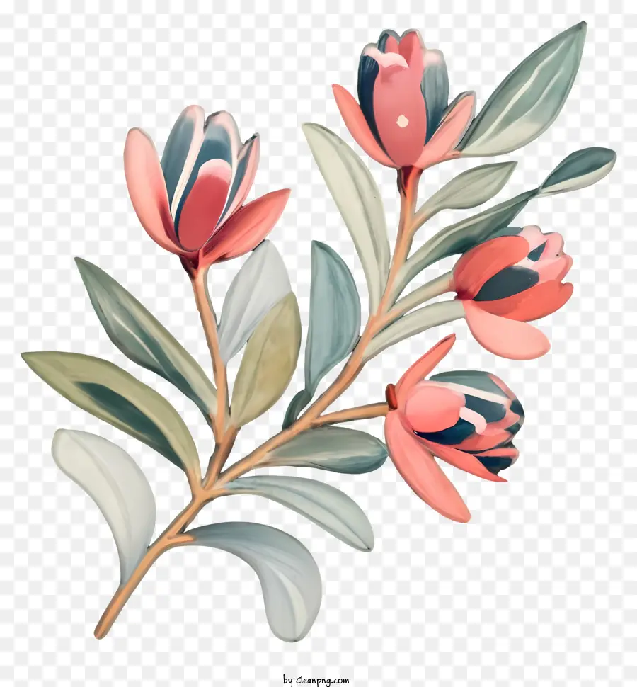 Karangan，Bunga Merah Muda PNG