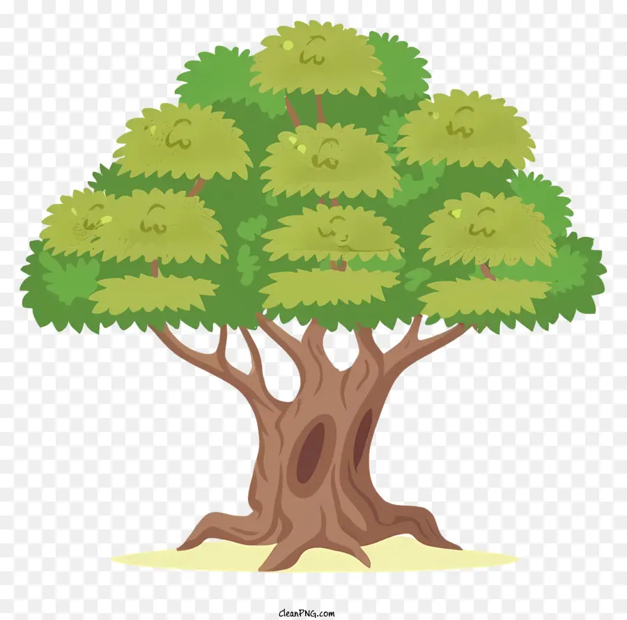 Pohon，Hijau Daun PNG