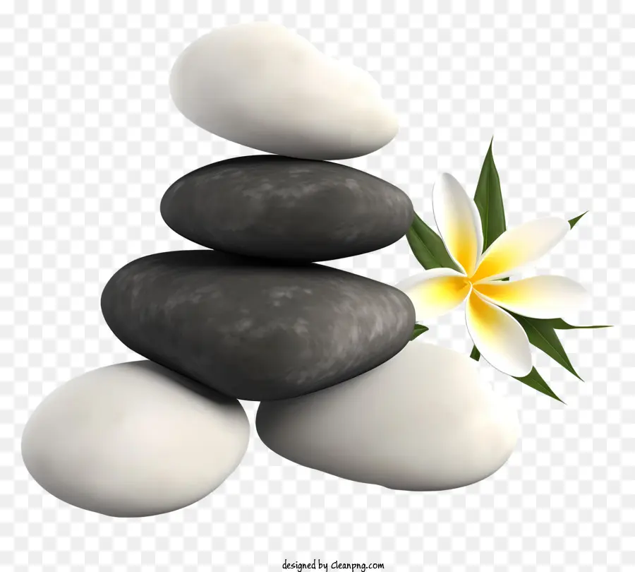 Batu Putih，Bunga Putih PNG