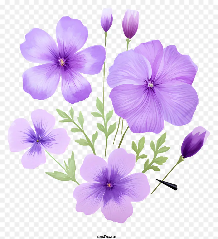 Bunga Lavender，Bunga Bunga Ungu PNG