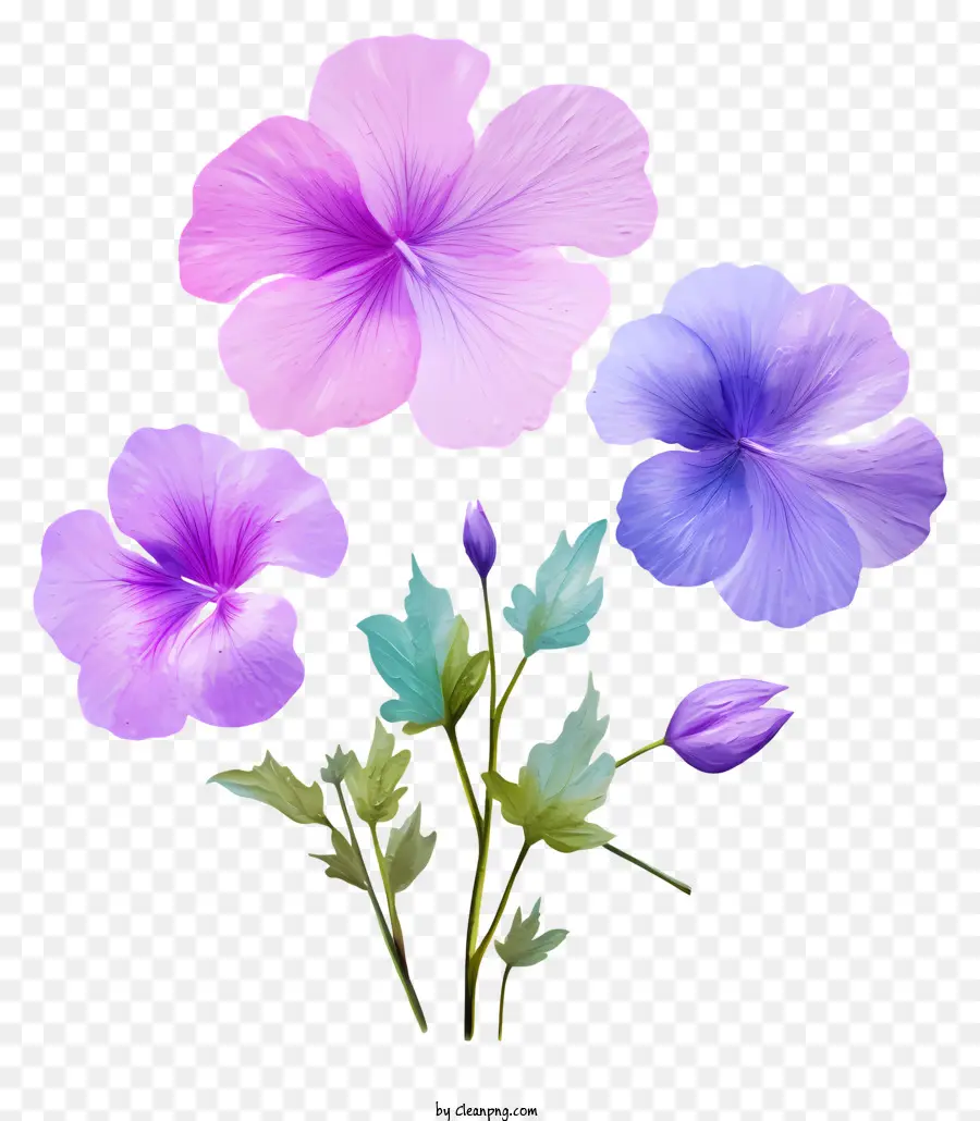 Bunga Bunga Ungu，Bunga Merah Muda PNG