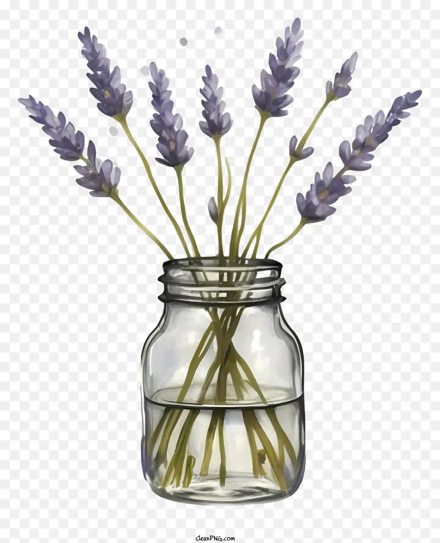 Kaca Mason Jar，Bunga Lavender PNG