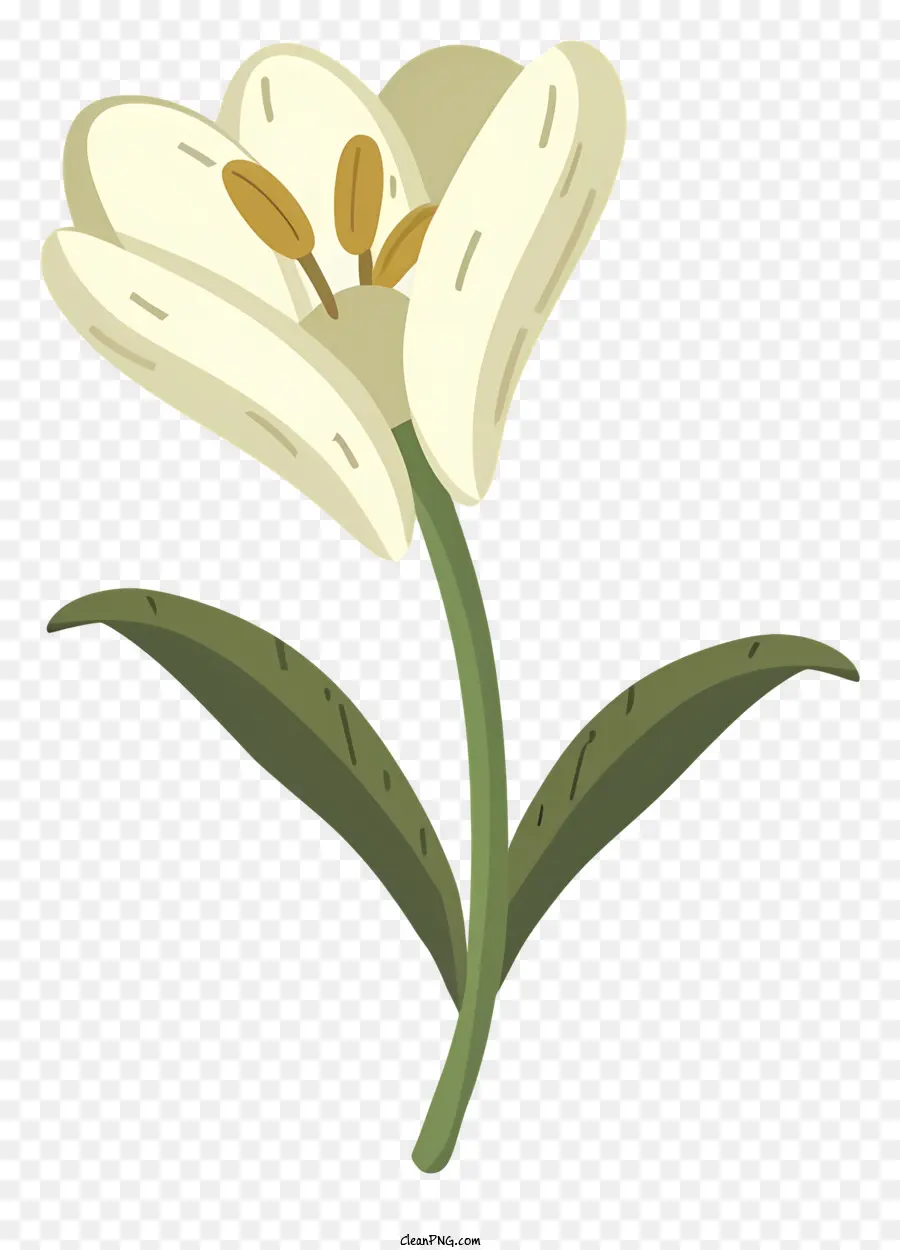 Bunga Tulip，Bunga Kuning PNG