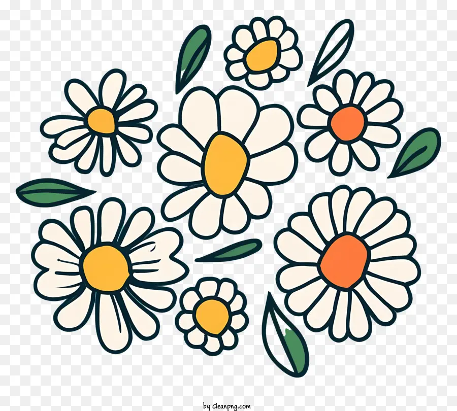 Bunga Daisy，Karangan Bunga PNG