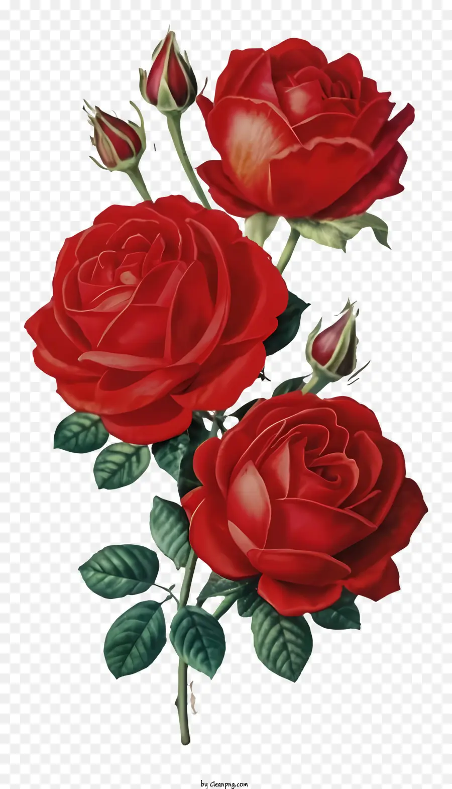 Lukisan，Mawar Merah PNG