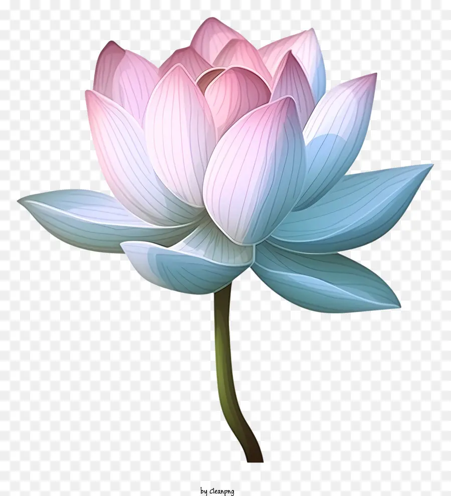 Bunga Teratai，Pink Lotus PNG