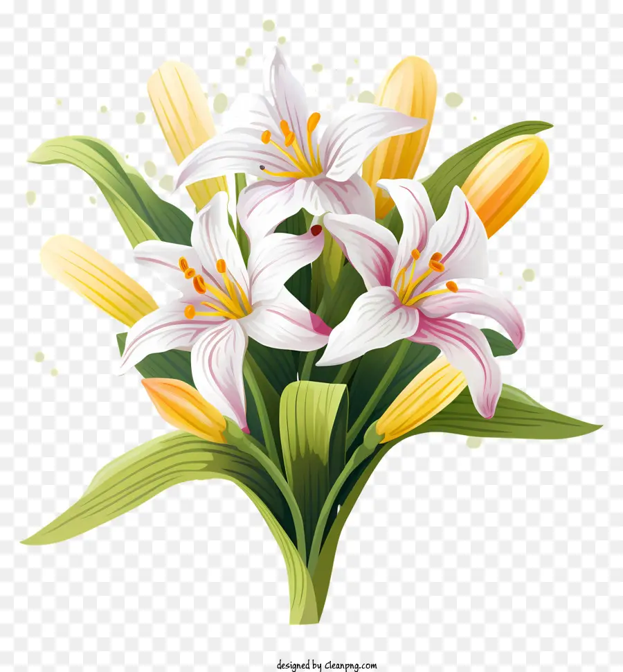 Karangan，Bunga Lili Putih PNG