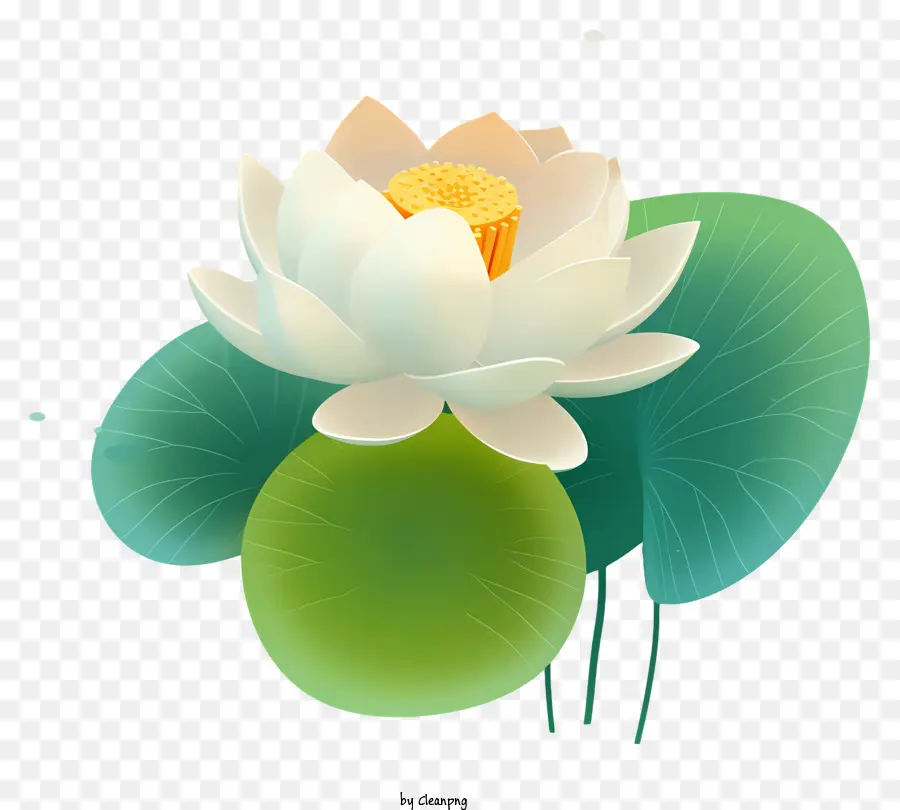 Putih Bunga Teratai，Hijau Daun PNG