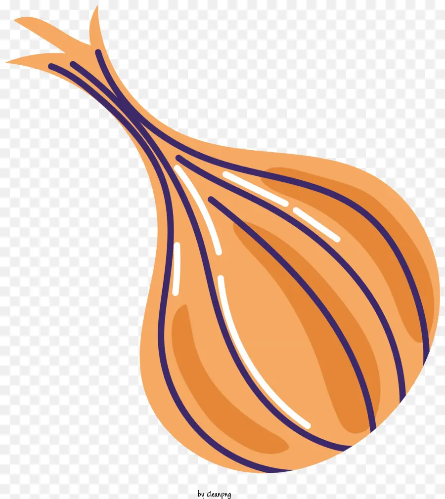 Bawang Oranye，Bawang Bulat PNG