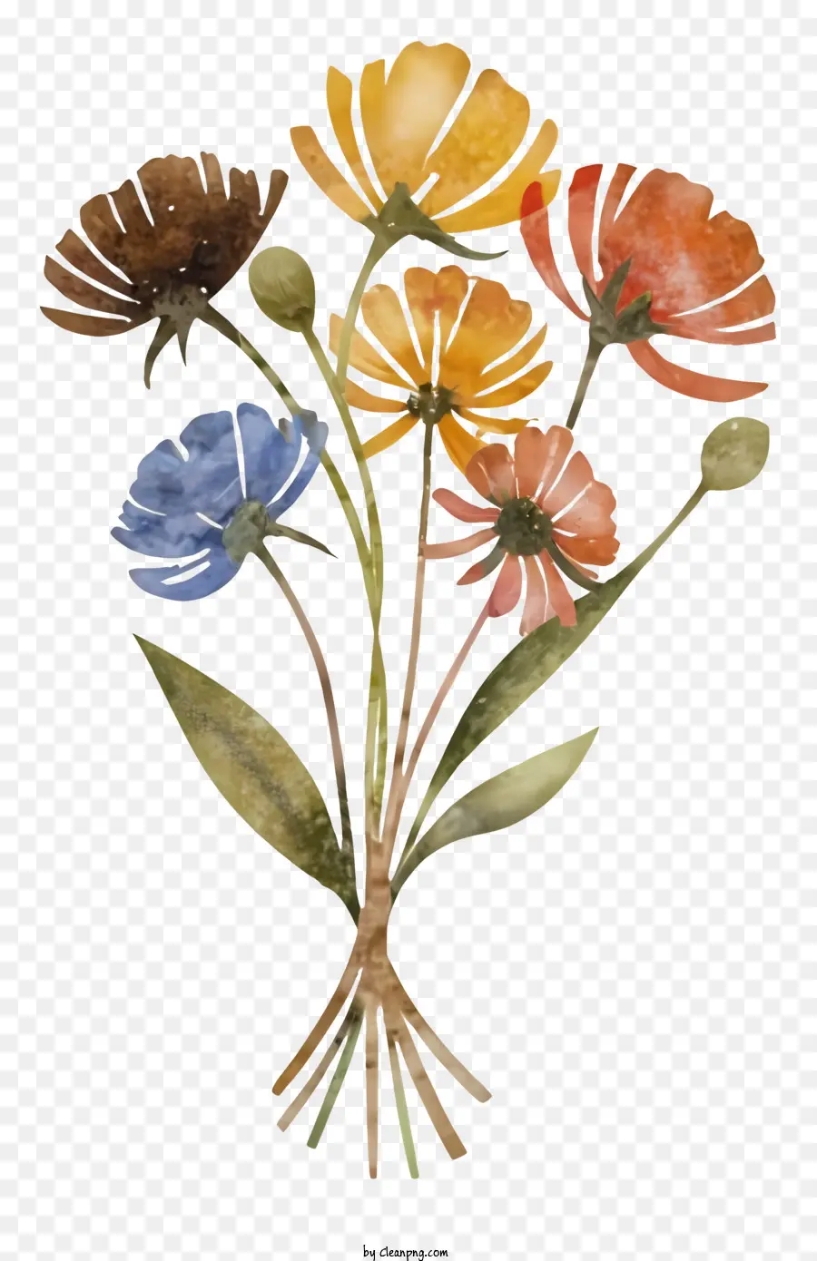 Karangan，Bunga Berwarna Warni PNG
