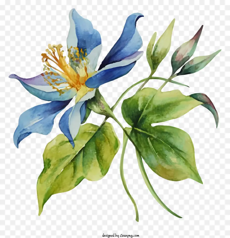 Lukisan，Bunga Biru PNG