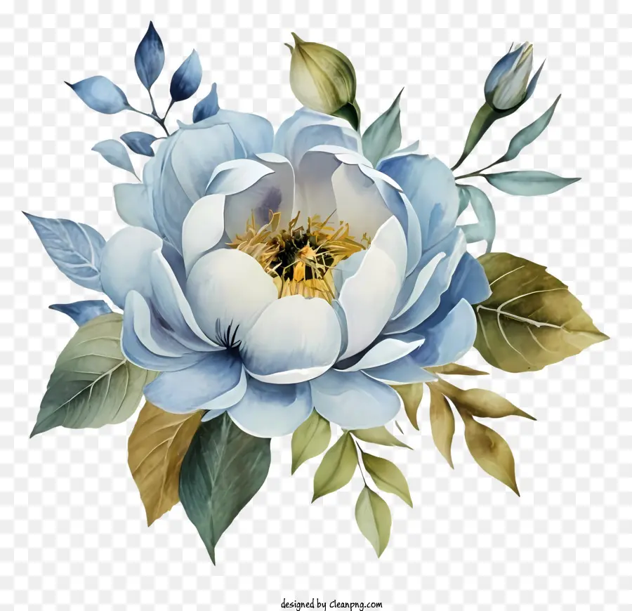 Bunga Peony，Bunga Biru Dan Putih PNG