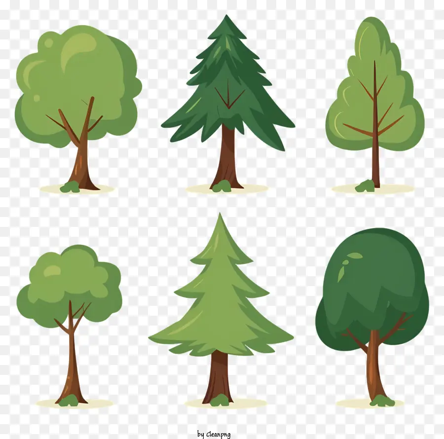 Pohon，Pohon Pohon Pinus PNG