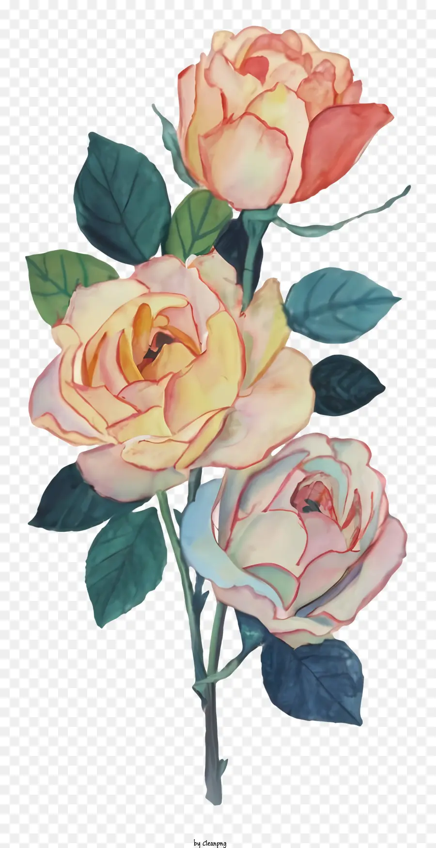 Mawar，Rangkaian Bunga PNG