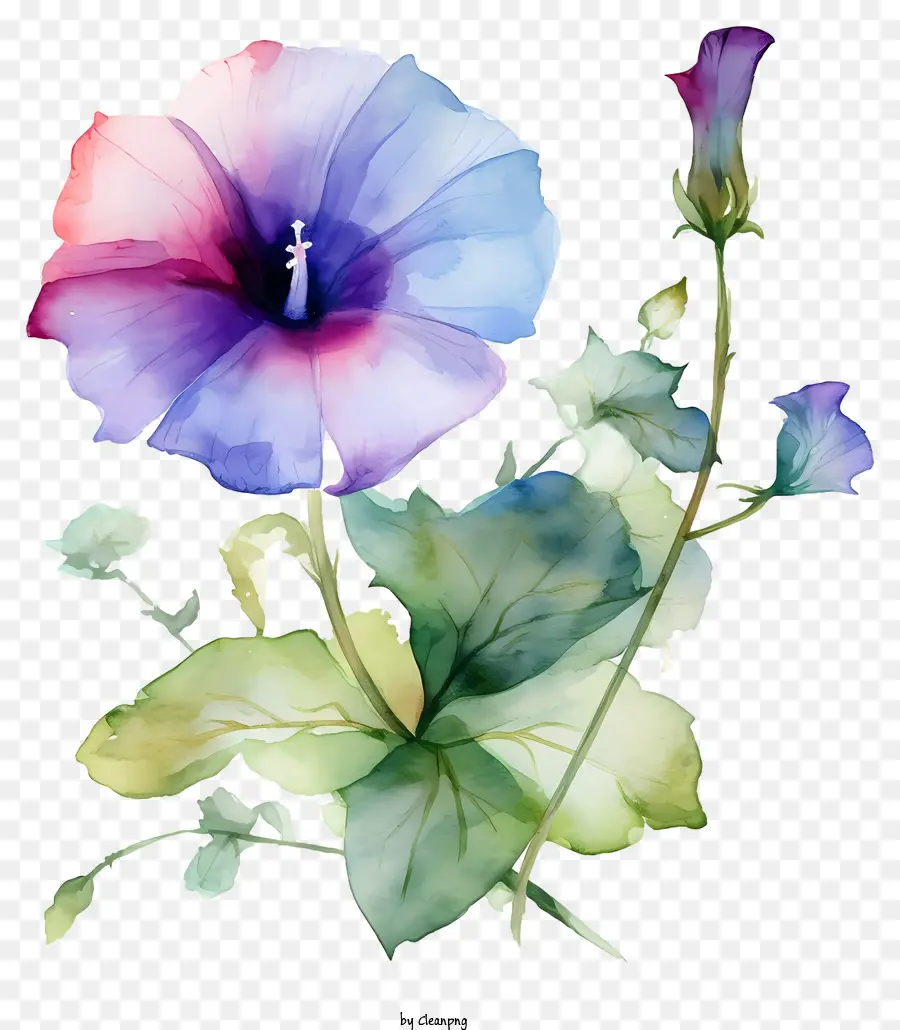 Lukisan，Bunga Merah Muda Dan Biru PNG